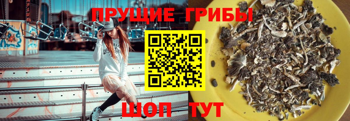 Галлюциногенные грибы Cubensis Дальнереченск